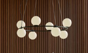 SMARTER Light